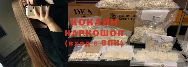 PSILOCYBIN Костерёво