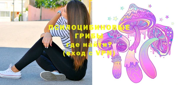 PSILOCYBIN Костерёво